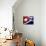 Cuban Flag Painted on Wall, Varadero, Matanzas, Cuba-Martin Lladã³-Photographic Print displayed on a wall