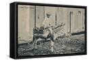 Framed Canvas