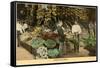 Cuban Fruit Store-null-Framed Stretched Canvas