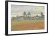 Cuban Landscape, 2010-Julian Barrow-Framed Giclee Print