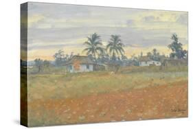 Cuban Landscape, 2010-Julian Barrow-Stretched Canvas