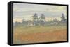 Cuban Landscape, 2010-Julian Barrow-Framed Stretched Canvas