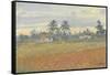 Cuban Landscape, 2010-Julian Barrow-Framed Stretched Canvas