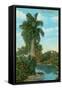 Canvas Black