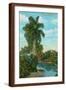 Brown Frame