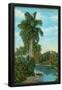 Essential Black