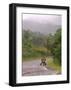 Cuban Landscape-Charles Glover-Framed Giclee Print