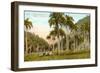 Cuban Landscape-null-Framed Art Print