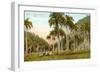 Cuban Landscape-null-Framed Art Print