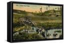 Canvas Black