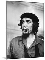 Cuban Rebel Ernesto "Che" Guevara with Lit Cigar Clenched Between Teeth and Left Arm in a Sling-Joe Scherschel-Mounted Premium Photographic Print