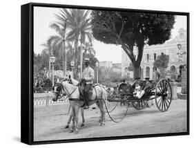 Cuban Volanta or Large Wheeled Carriage Transports Tourists-null-Framed Stretched Canvas