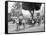 Cuban Volanta or Large Wheeled Carriage Transports Tourists-null-Framed Stretched Canvas