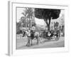 Cuban Volanta or Large Wheeled Carriage Transports Tourists-null-Framed Photo