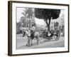 Cuban Volanta or Large Wheeled Carriage Transports Tourists-null-Framed Photo