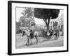 Cuban Volanta or Large Wheeled Carriage Transports Tourists-null-Framed Photo