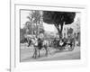 Cuban Volanta or Large Wheeled Carriage Transports Tourists-null-Framed Photo