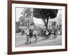 Cuban Volanta or Large Wheeled Carriage Transports Tourists-null-Framed Photo