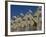 Cubic House (Kubuswoningen), Designed by Piet Blom, Rotterdam, Netherlands, Europe-Ethel Davies-Framed Photographic Print