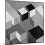 Cubic in Grey II-Todd Simmons-Mounted Art Print