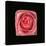 Cubic Pink Rose-Winfred Evers-Stretched Canvas