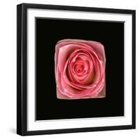 Cubic Pink Rose-Winfred Evers-Framed Photographic Print