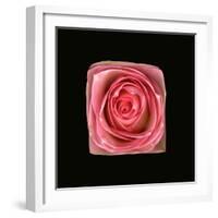 Cubic Pink Rose-Winfred Evers-Framed Photographic Print