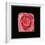 Cubic Pink Rose-Winfred Evers-Framed Photographic Print