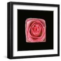 Cubic Pink Rose-Winfred Evers-Framed Premium Photographic Print