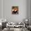 Cubist Espresso II-Eli Adams-Framed Premium Giclee Print displayed on a wall