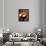 Cubist Espresso II-Eli Adams-Framed Premium Giclee Print displayed on a wall