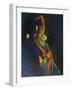 Cubist Expressionism - 08-09-20-Corné Akkers-Framed Photographic Print
