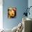 Cubist Mocha II-Eli Adams-Stretched Canvas displayed on a wall