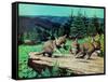 Cubs at Play-Stan Galli-Framed Stretched Canvas