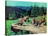 Cubs at Play-Stan Galli-Stretched Canvas