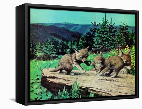 Cubs at Play-Stan Galli-Framed Stretched Canvas