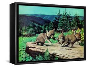 Cubs at Play-Stan Galli-Framed Stretched Canvas