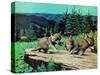 Cubs at Play-Stan Galli-Stretched Canvas