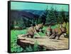 Cubs at Play-Stan Galli-Framed Stretched Canvas