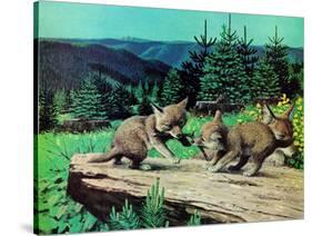 Cubs at Play-Stan Galli-Stretched Canvas