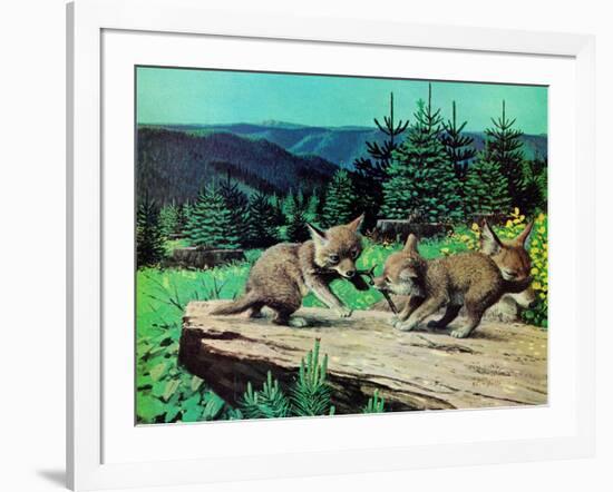 Cubs at Play-Stan Galli-Framed Giclee Print