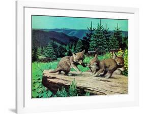 Cubs at Play-Stan Galli-Framed Giclee Print