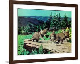 Cubs at Play-Stan Galli-Framed Giclee Print