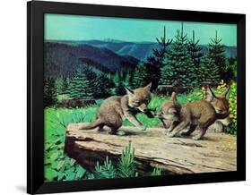 Cubs at Play-Stan Galli-Framed Giclee Print