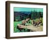 Cubs at Play-Stan Galli-Framed Giclee Print