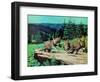 Cubs at Play-Stan Galli-Framed Giclee Print