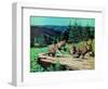 Cubs at Play-Stan Galli-Framed Giclee Print