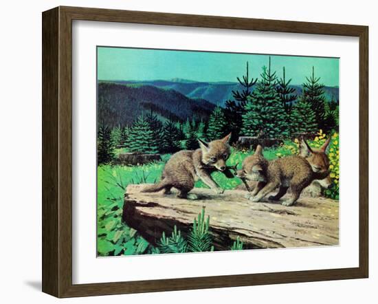 Cubs at Play-Stan Galli-Framed Giclee Print