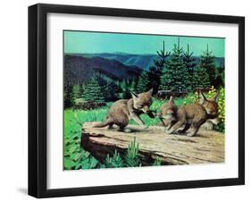 Cubs at Play-Stan Galli-Framed Giclee Print