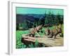 Cubs at Play-Stan Galli-Framed Giclee Print